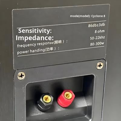 スーツ：サイクロンNo.8塗装三方ホームアンプスピーカーセット（SR8800アンプと10インチサブウーファー付き）