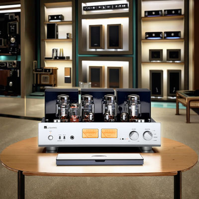 Aレベル 25W+25W ホーム HIFI 真空管オーディオアンプ 高出力 インテグレーテッド ヘッドホンレシーバー スピーカー クラスアンプ